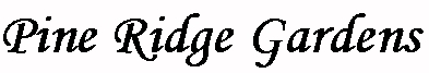 Click to Browse Special Listings of Native Plants