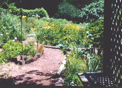 Arbor Scene at Pine Ridge Nursery